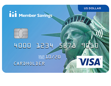 Visa* US Dollar Card